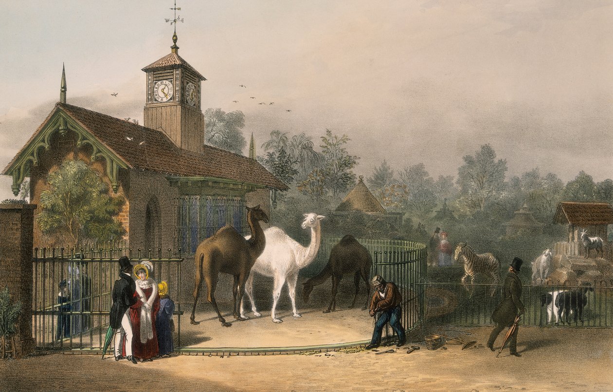Zoologická zahrada, Regent