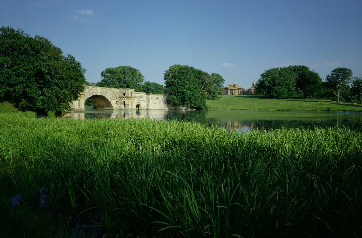 Blenheimský palác, Oxfordshire od Unbekannt Unbekannt