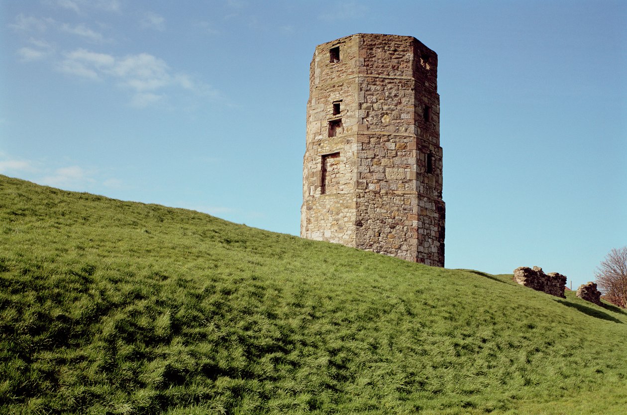 Cow Tower, Berwick, Northumberland od Unbekannt Unbekannt