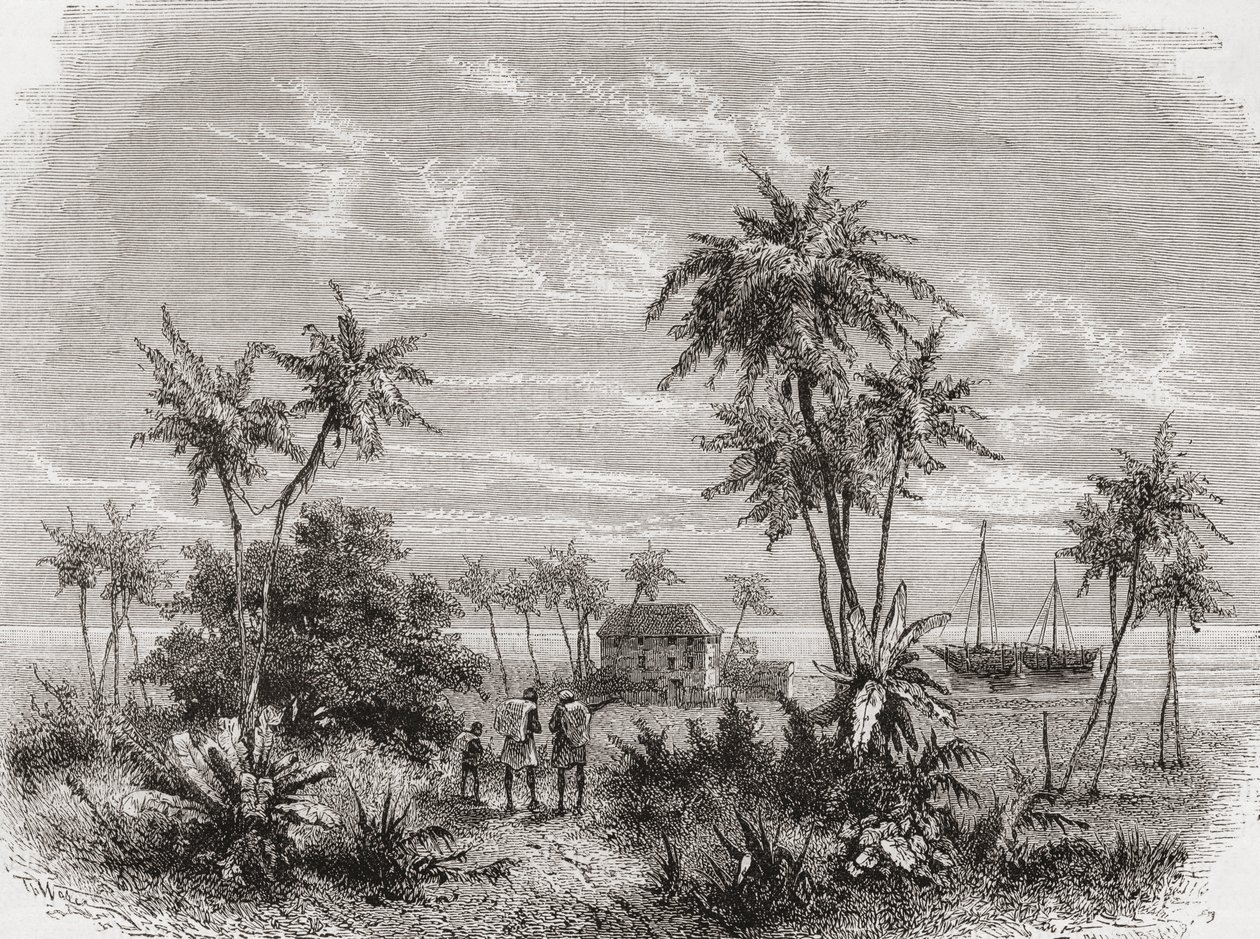 Dům Davida Livingstonea na Zanzibaru, Tunisko, východní Afrika, ilustrace z „Svět v rukou“, vyrytý Henri Theophilem Hildibrandem (1824-97), vydáno 1878 od Unbekannt Unbekannt