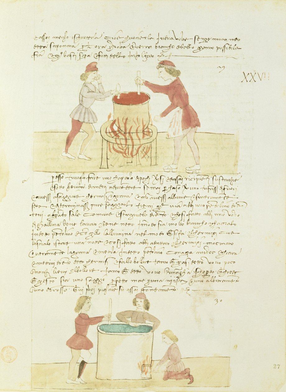 Barvení hedvábí z Precetti dellArte della Seta (Pravidla cechu hedvábí) od Unbekannt Unbekannt