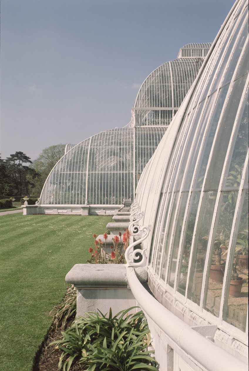 Část Palm House, navržený Decimus Burton, 1800-81 od Unbekannt Unbekannt
