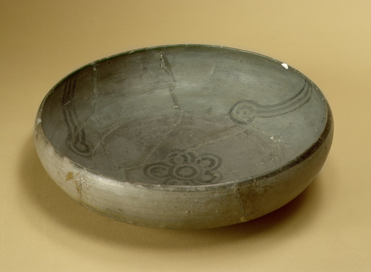 Terakotově malované šedé zboží, Hastinapur, 800-400 př.nl od Unbekannt Unbekannt