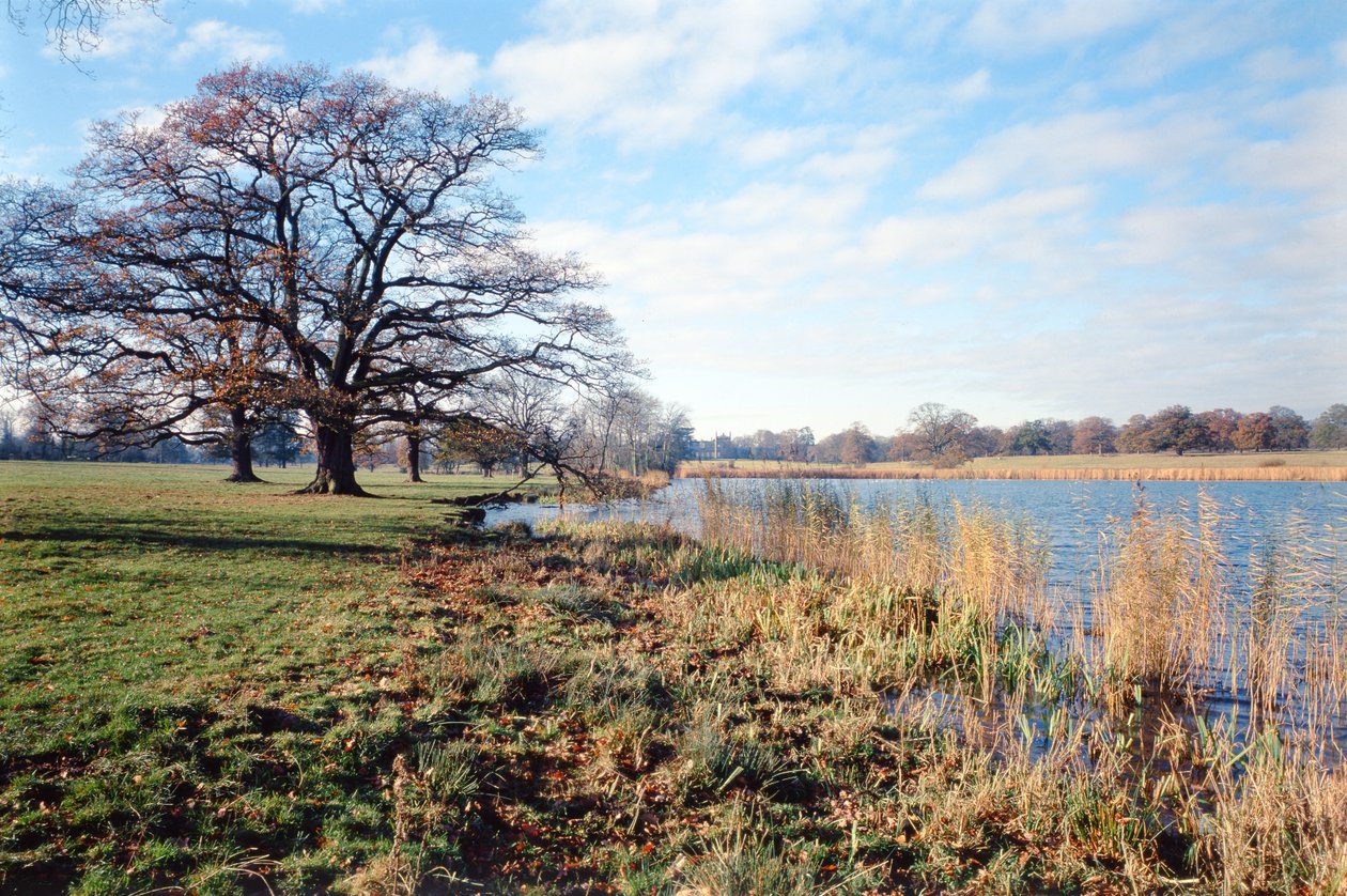 Pohled na jezero, Corsham Court, Wiltshire od Unbekannt Unbekannt