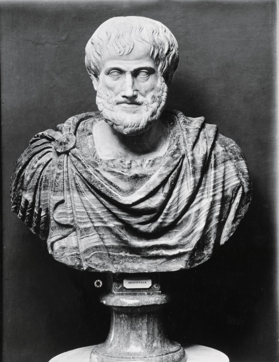 Busta Aristotela od Unbekannt Unbekannt
