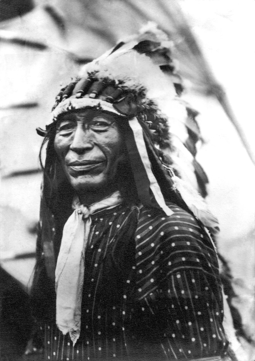 Portrét Buffalo Nickel od Unbekannt Unbekannt