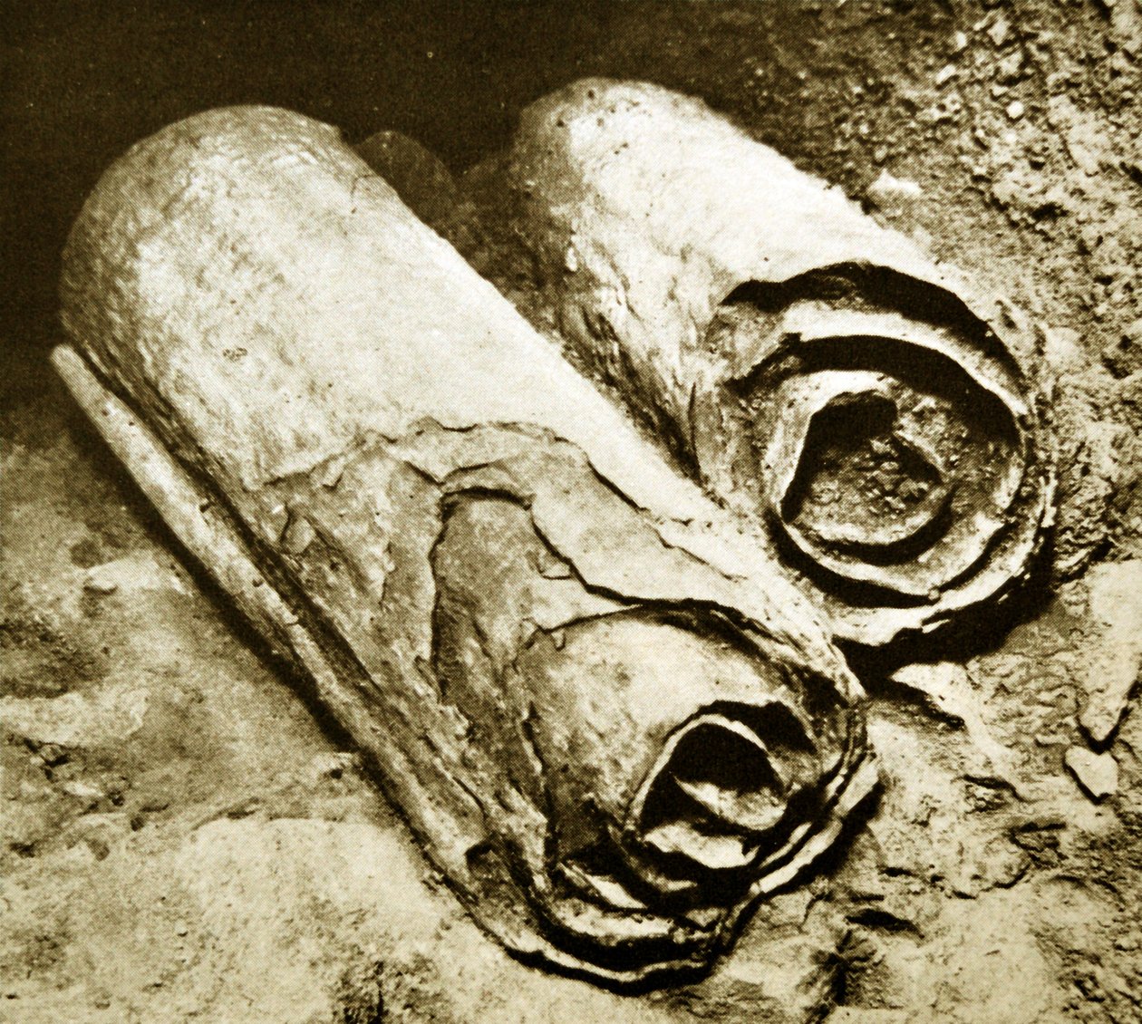 Výkop svitků od Mrtvého moře, 1950 od Unbekannt Unbekannt