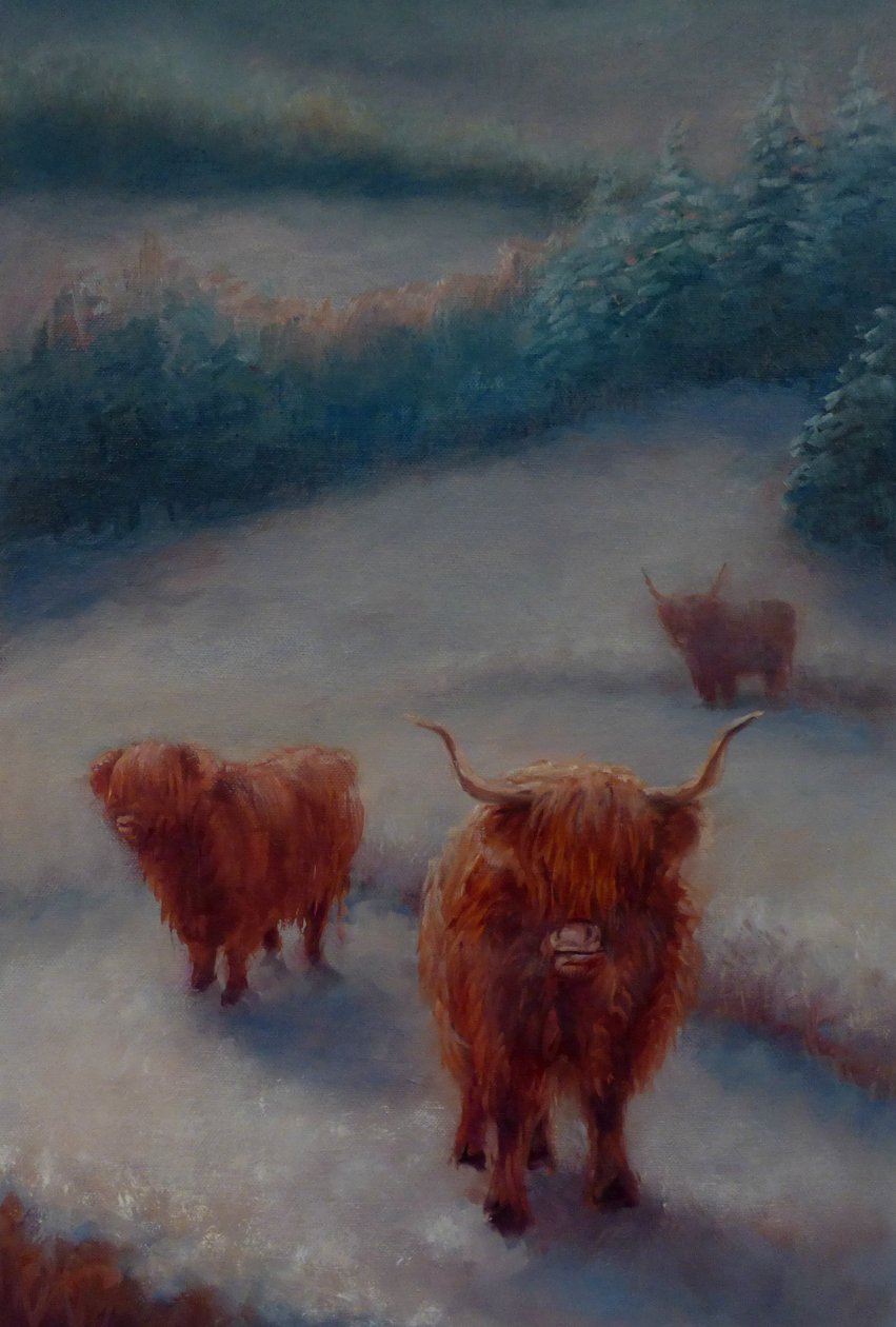 Highland Cattle, 2018, od Unbekannt Unbekannt