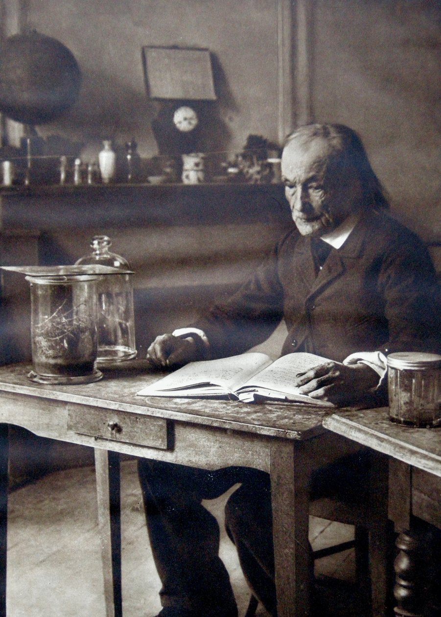 Jean-Henri Fabre, 1913 od Unbekannt Unbekannt