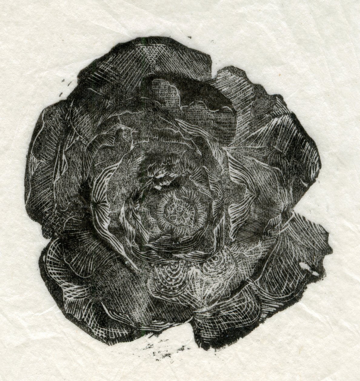 Pine Rose, 2014, od Unbekannt Unbekannt