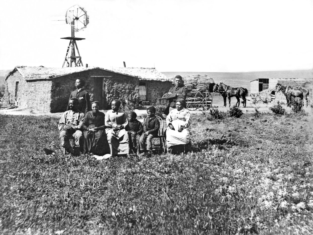 Pioneer Family Portrait, Custer County, Nebraska, 1888 od Unbekannt Unbekannt