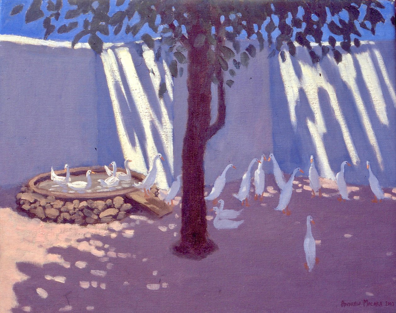Runner Ducks, Jižní Afrika, 2011 od Unbekannt Unbekannt