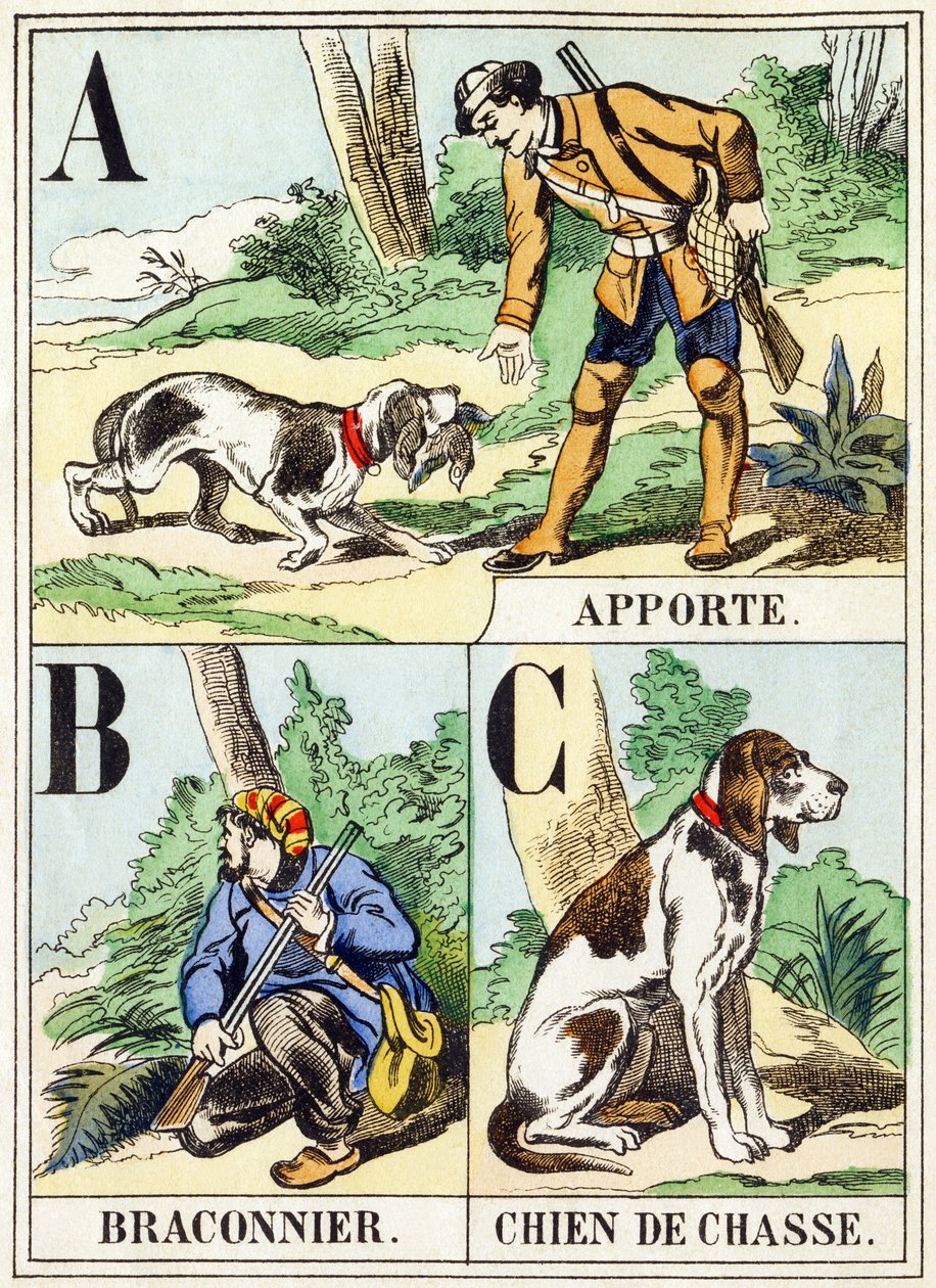 A B C: Bring, Poacher, Hunting Dog - The Hunting Alphabet, c.1890 (rytina) od Unbekannt