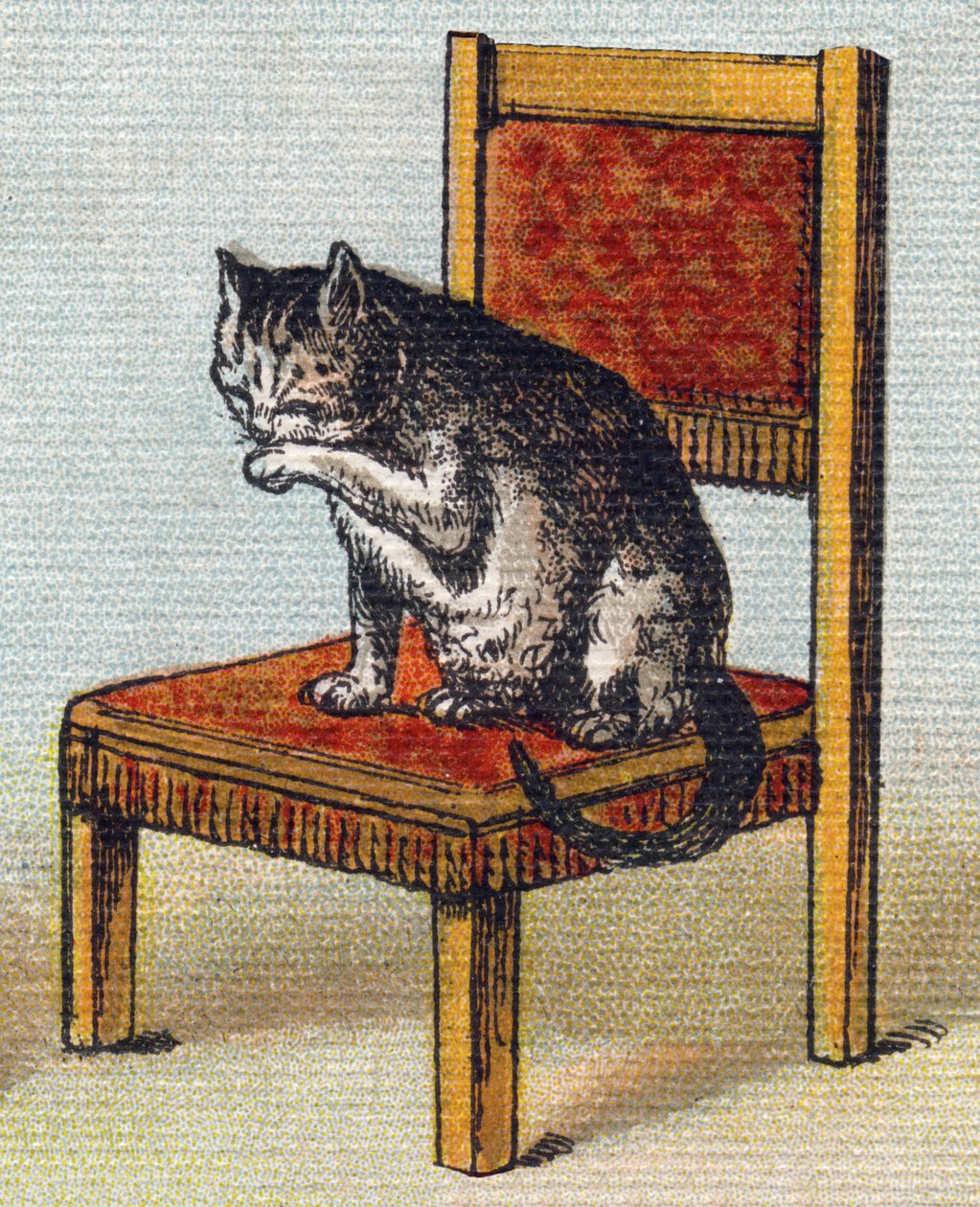 Kočka na židli. Rytina "Alphabet de ma petite fille". Bernardin-Bechet a Fils, knihkupci-nakladatelé, Paříž, kolem roku 1895. Nerozbitné album na plátně. Bibliotheque des Bebes. 12 stran. Album obsahující metodu čtení a názornou abecedu od Unbekannt