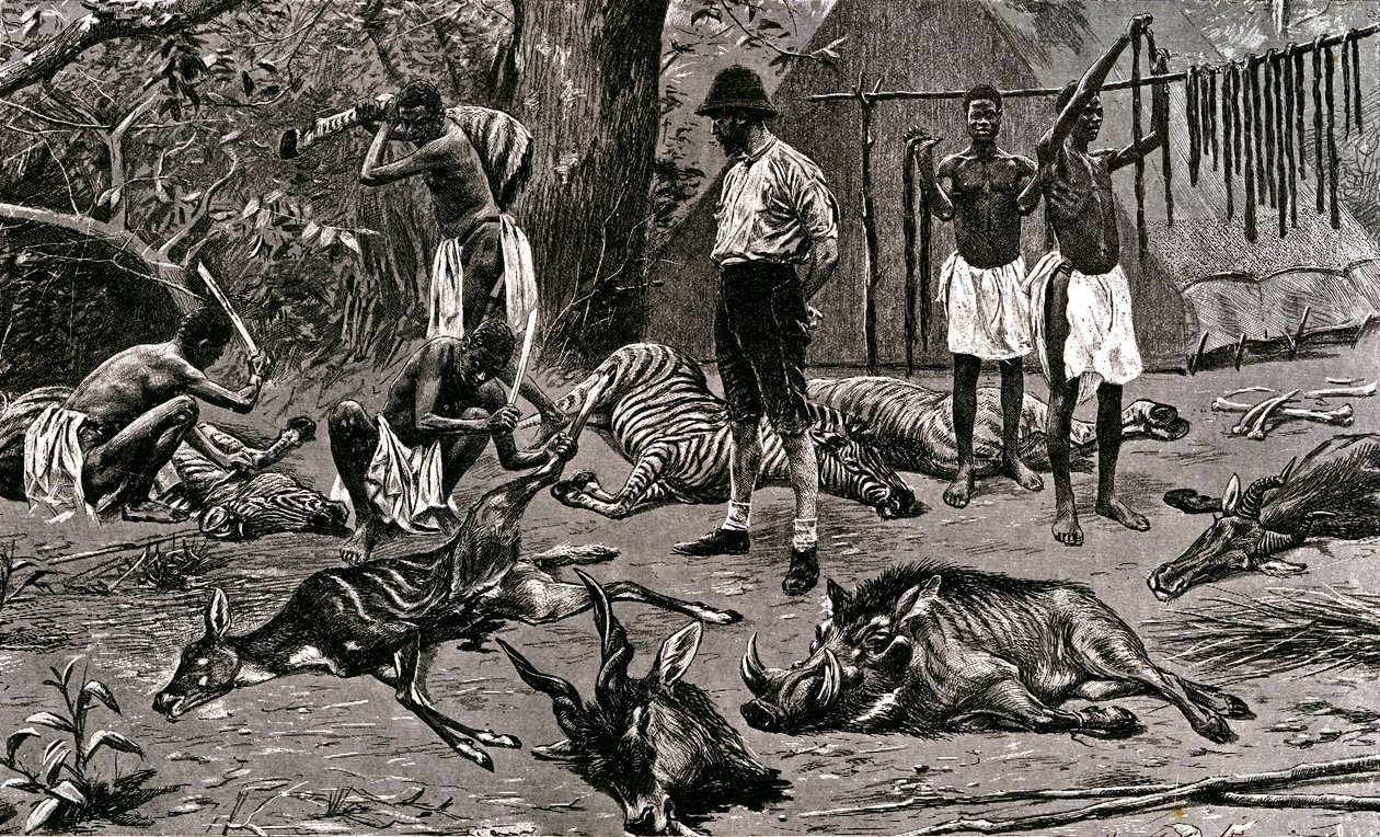 Skvělý lovecký den! 1900 (rytina) od Unbekannter Künstler