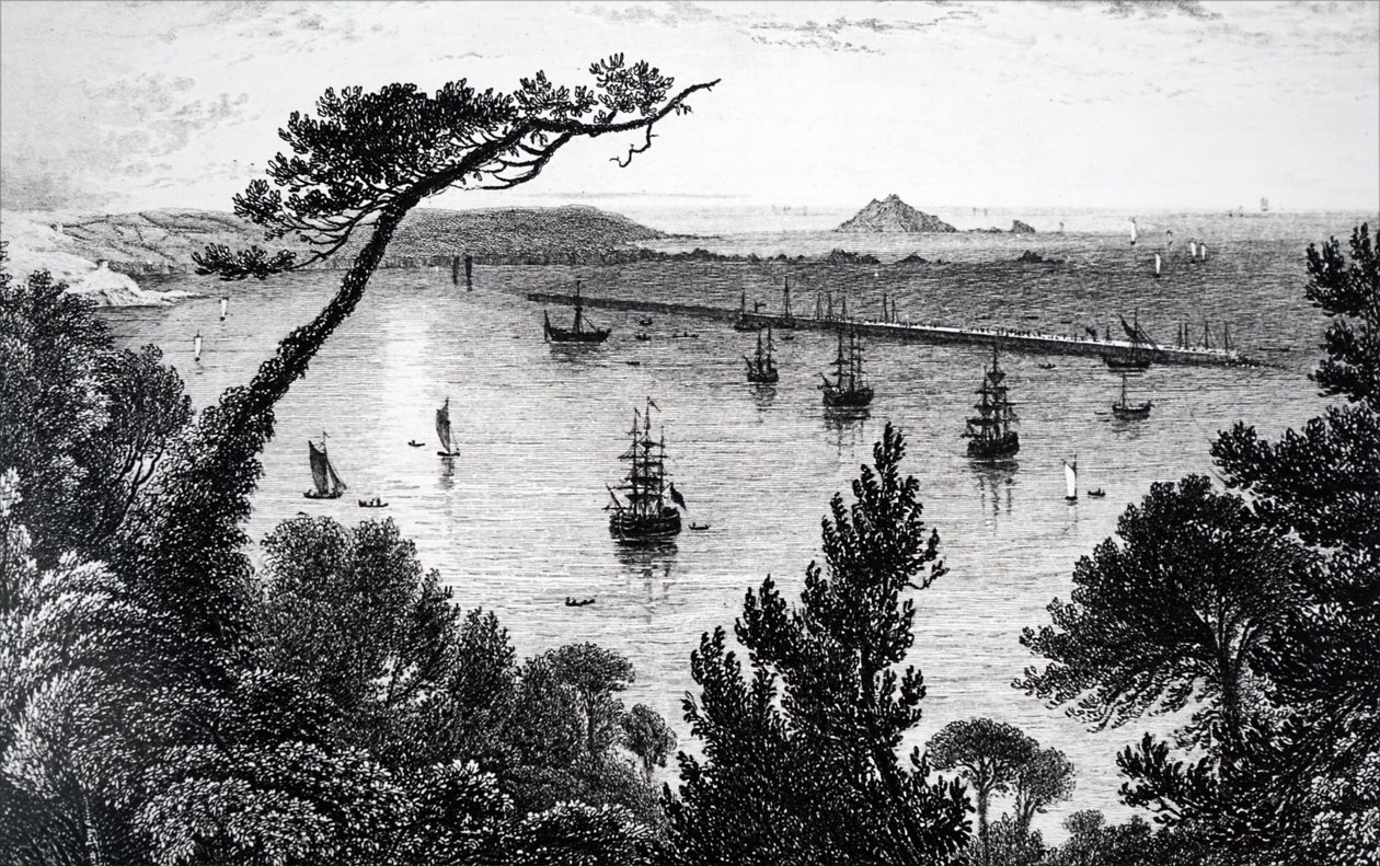 Pohled na Plymouth Harbour. od Unbekannt