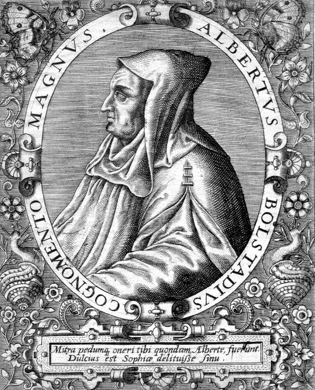 Albert Magnus (1193/1206-1280) německý dominikánský mnich , vědec, filozof a teolog, rytina od Unbekannter Künstler