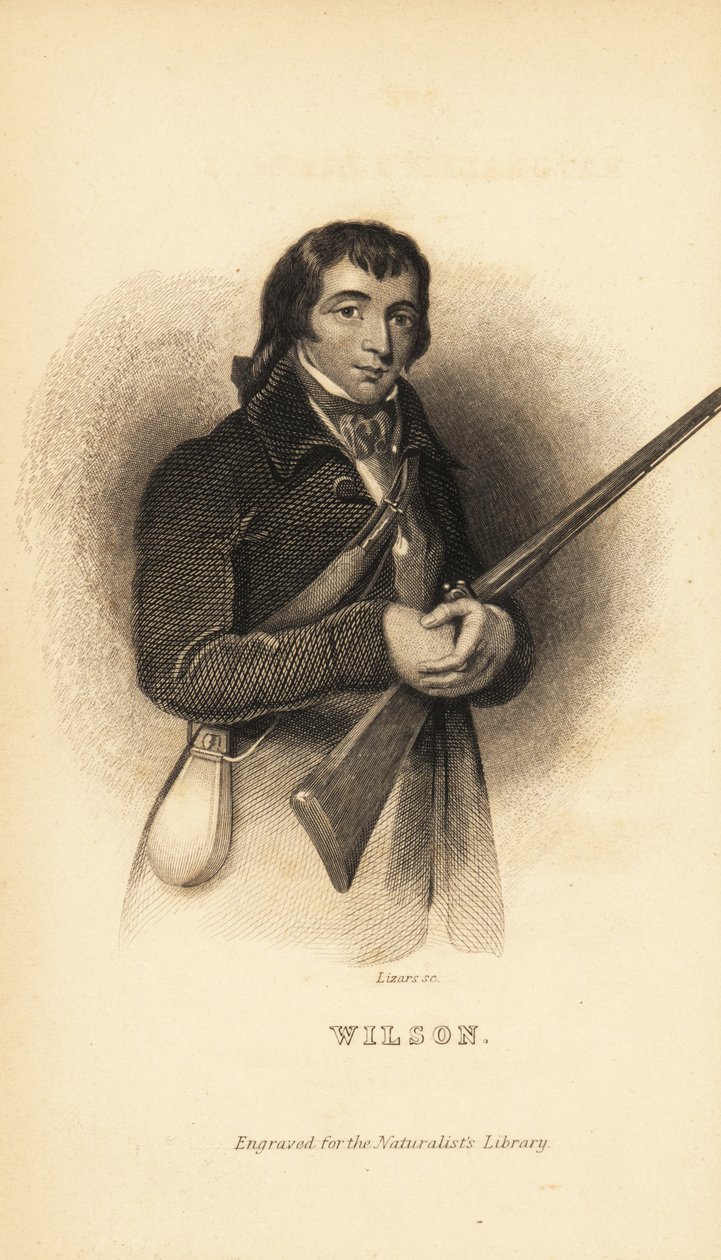 Alexander Wilson , skotský americký ornitolog, přírodovědec a básník od Unbekannt