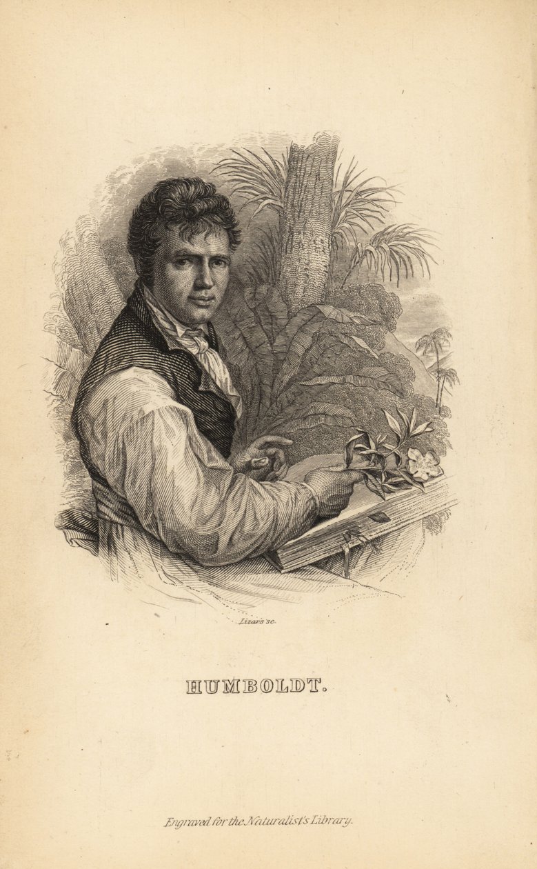 Alexander von Humboldt , německý průzkumník, přírodovědec a botanik od Unbekannt