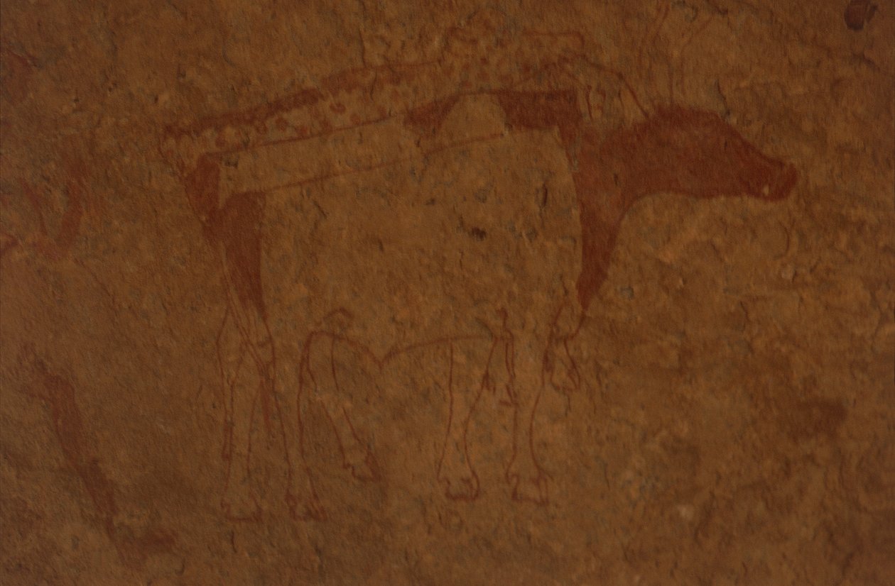 Alžírsko, poušť Sahara, národní park Tassili-n-Ajjer, místo Sefar, skalní malba zobrazující býka. od William M. Timlin