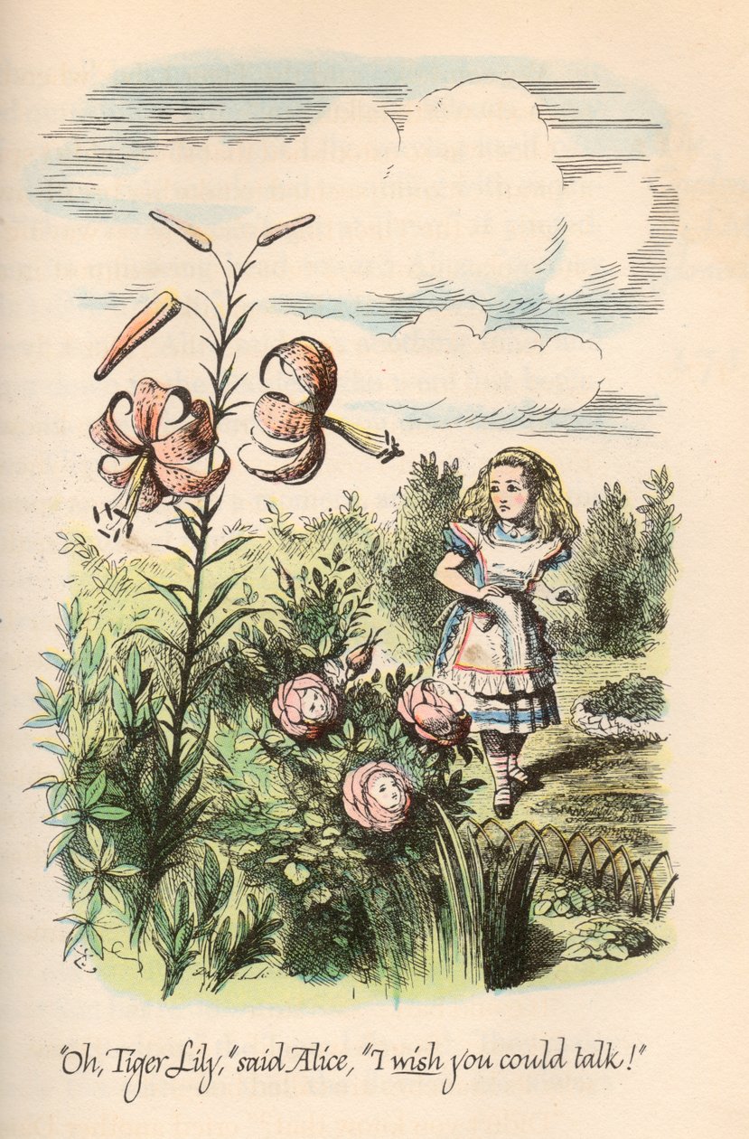 Alenka v říši divů a přes zrcadlo, Lewis Carroll, ilustroval John Tenniel od Unbekannt