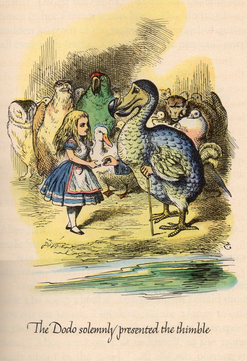 Alenka v říši divů od Lewise Carrolla, ilustroval John Tenniel od Unbekannt