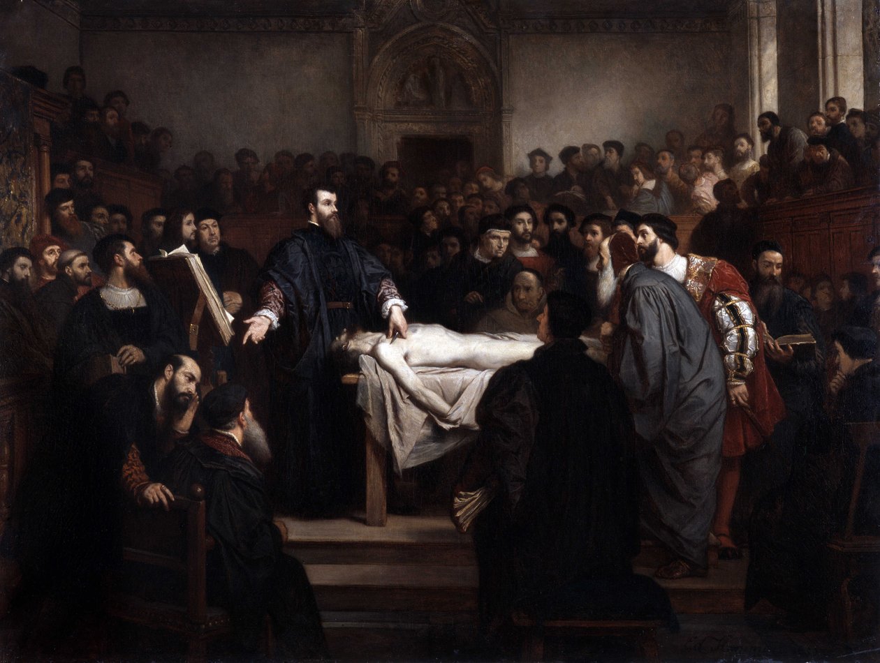Anatomie lecon. Andre Vesale (1514-1564), vlámský anatom (Andrea Vesalius nebo Andries Van Wesel) v Padově (Padova), Itálie. od Unbekannter Künstler