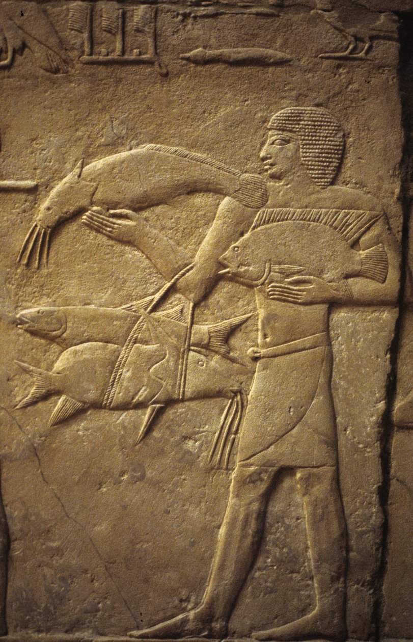 Starověký Egypt: Sakkára (nebo Sakkára či Sakkarah): nekropole Staré říše, hrobka šlechticů. Detail reliéfů představujících rybáře. od Leopold Blonder