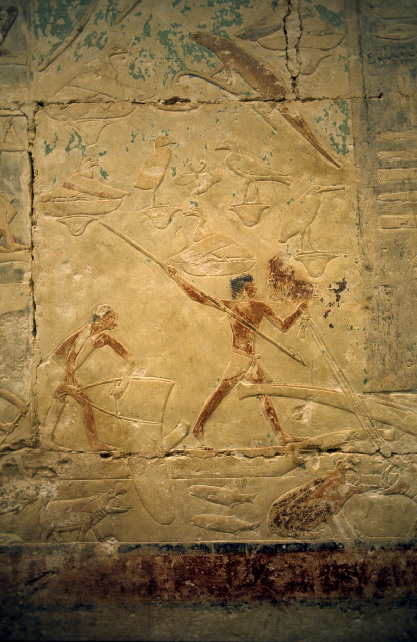 Starověký Egypt: Sakkára (nebo Sakkára či Sakkarah): pohřebiště Staré říše, hrobka vznešených. Detail reliéfů zobrazujících rybářskou scénu. od Leopold Blonder