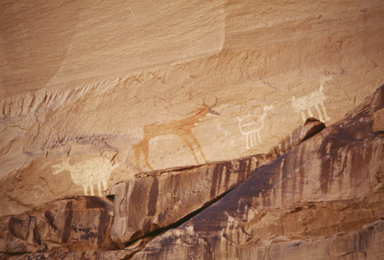 Postavy zvířat, skalní malby od umělců Navajo, Národní památník Canyon de Chelly, rezervace indiánů Navajo, Arizona, USA od Benjamin Baud