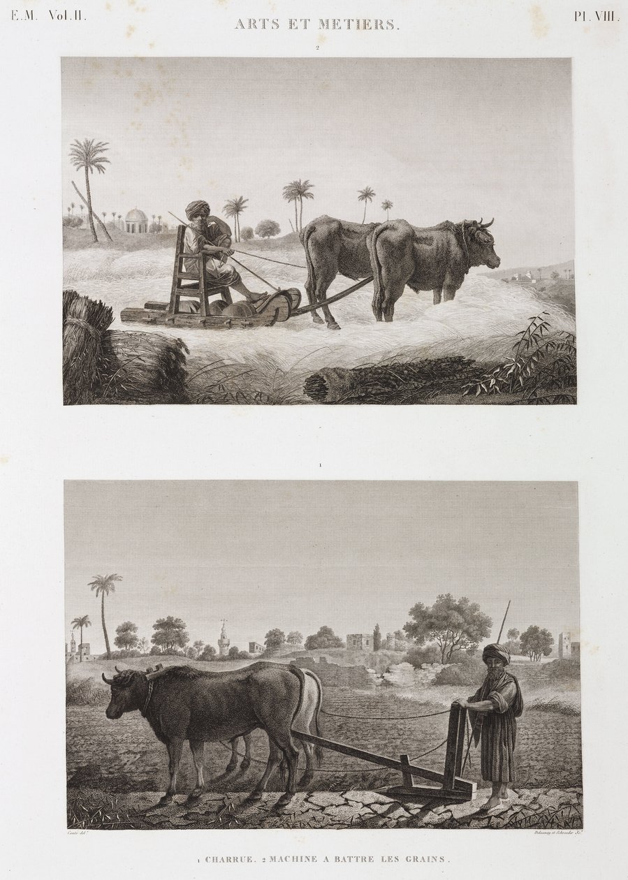 Zemědělství na orné půdě, orba Mlátička a pluh, Egypt, c 1798 od Unbekannt