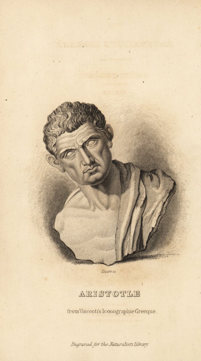 Aristoteles, řecký filozof a přírodovědec, 384-322 př.nl od Unbekannt