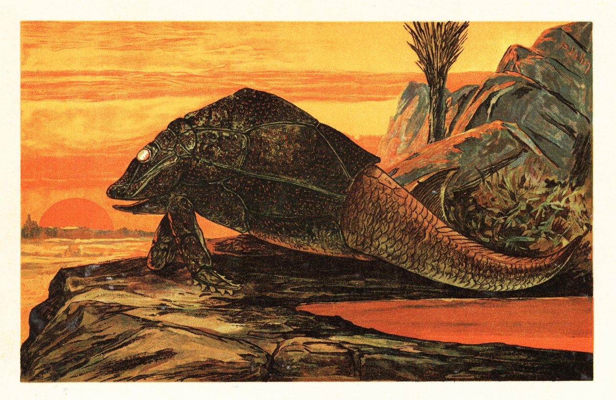 Asterolepis cornutus, vyhynulý druh pancéřových ryb.1908 (litografie) od Unbekannter Künstler