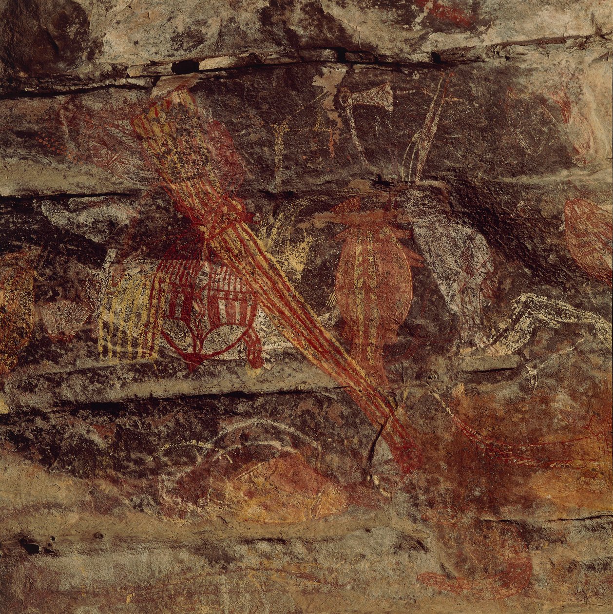 Austrálie, Severní teritorium, Arnhem Land, národní park Kakadu, Obiri Rock, domorodé skalní malby od Benjamin Baud