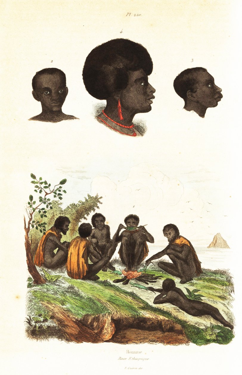 Australští domorodci a hlavy domorodců z Waigeo, Západní Papua1834-1839 (rytina) od Unbekannter Künstler