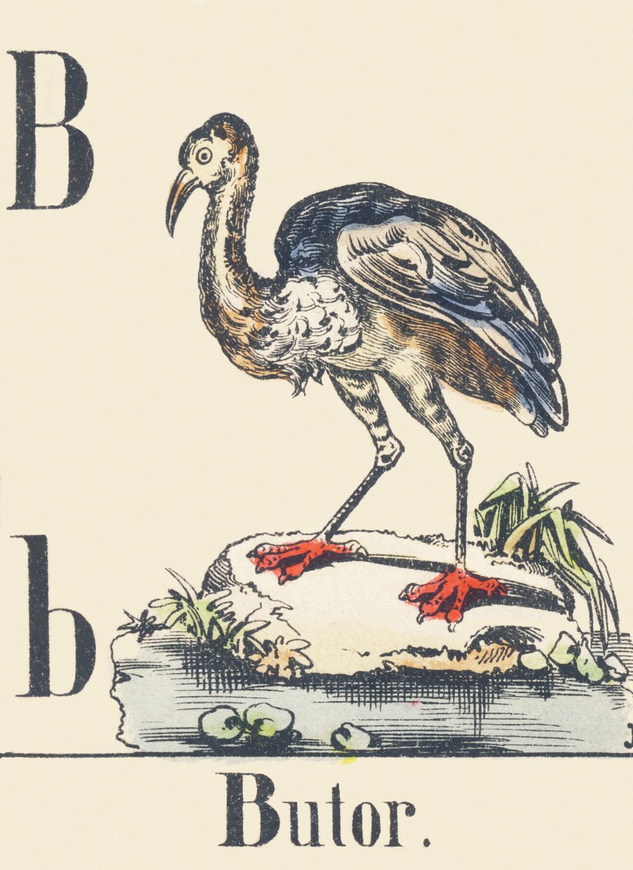 B: Bystrouška, cca 1880-1900 (ilustrace) od Unbekannter Künstler