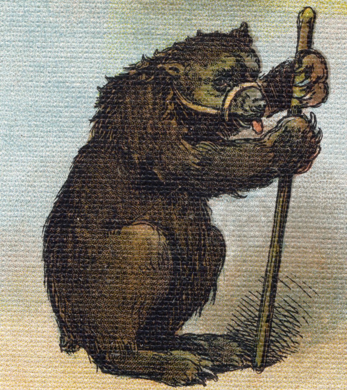 Medvěd. Rytina "Alphabet de ma petite fille". Bernardin-Bechet a Fils, knihkupci-nakladatelé, Paříž, kolem roku 1895. Nerozbitné album na plátně. Bibliotheque des Bebes. 12 stran. Album obsahující metodu čtení a názornou abecedu. Rozměr: 29, od Unbekannt