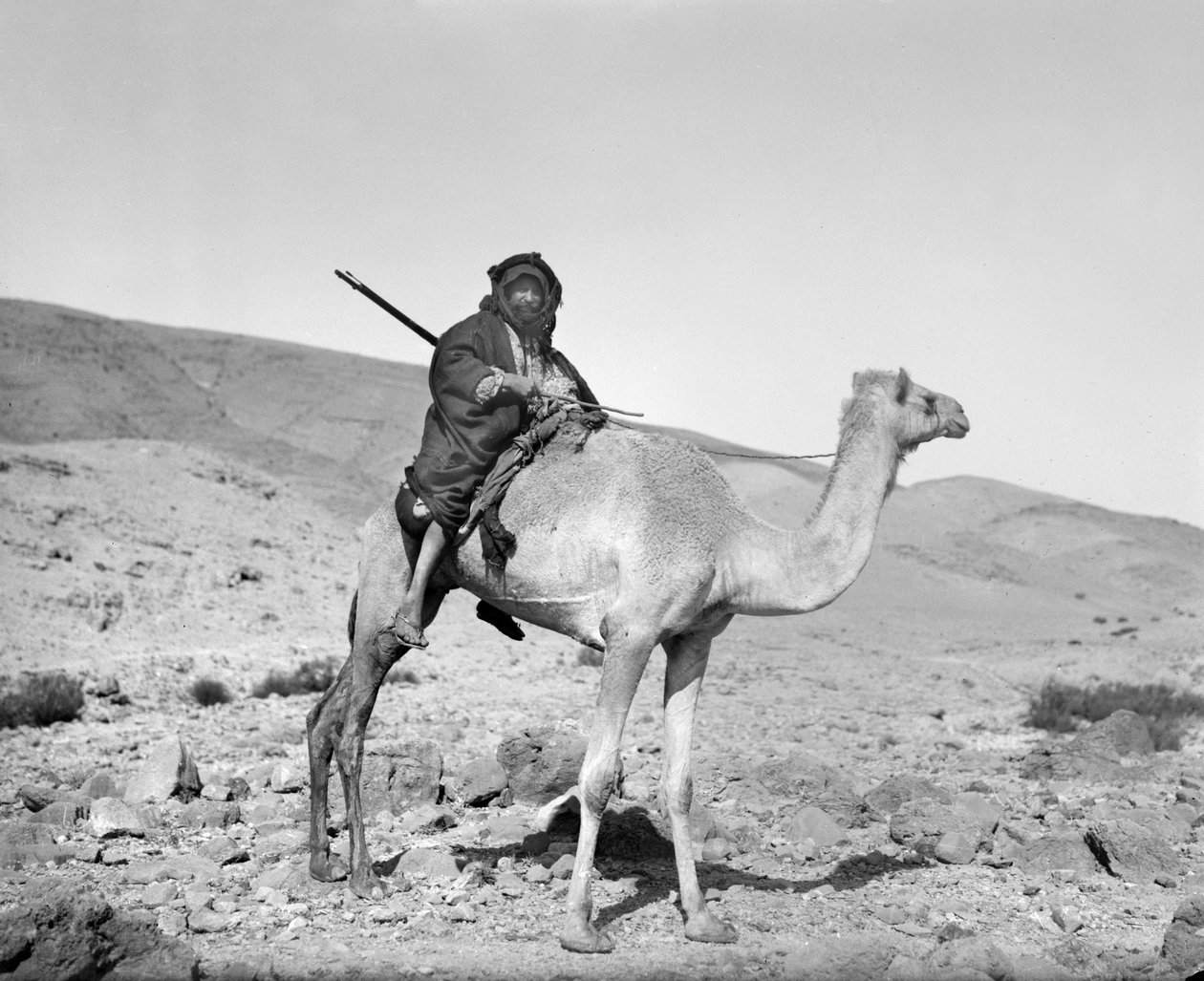 Beduín na velbloudovi, cca 1936 (černobílá fotografie) od Unbekannt