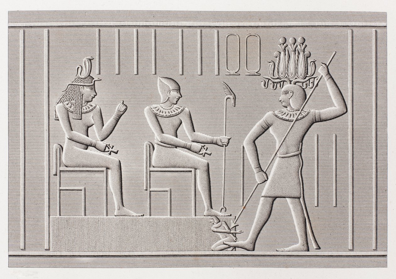 Kniha: Popis Egypta od Unbekannt