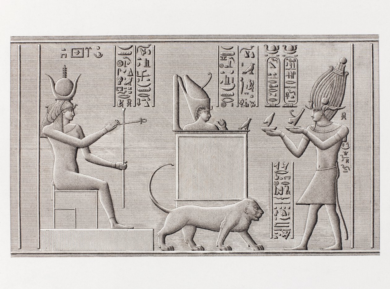 Kniha: Popis Egypta od Unbekannt