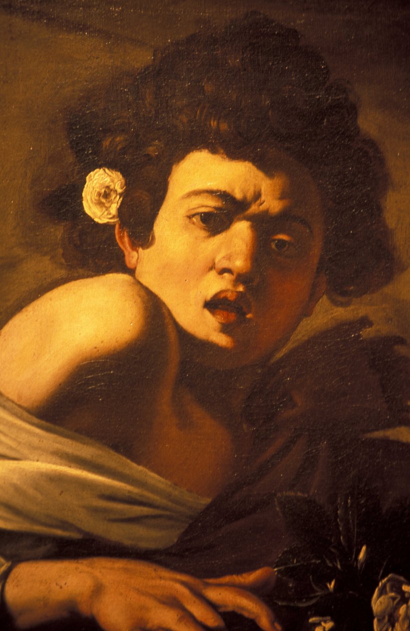 Chlapec pokousaný ještěrkou (detail), umělecké dílo Caravaggio, Palazzo Ducale, Janov, Ligurie, Itálie od Unbekannt