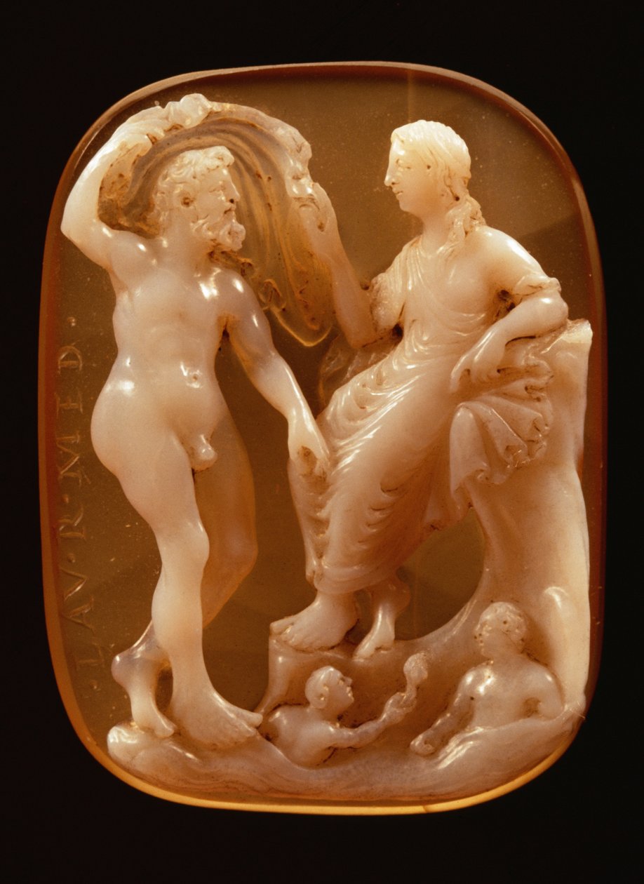 Cameo of Neptun a Amphitrite (onyx) od Unbekannt