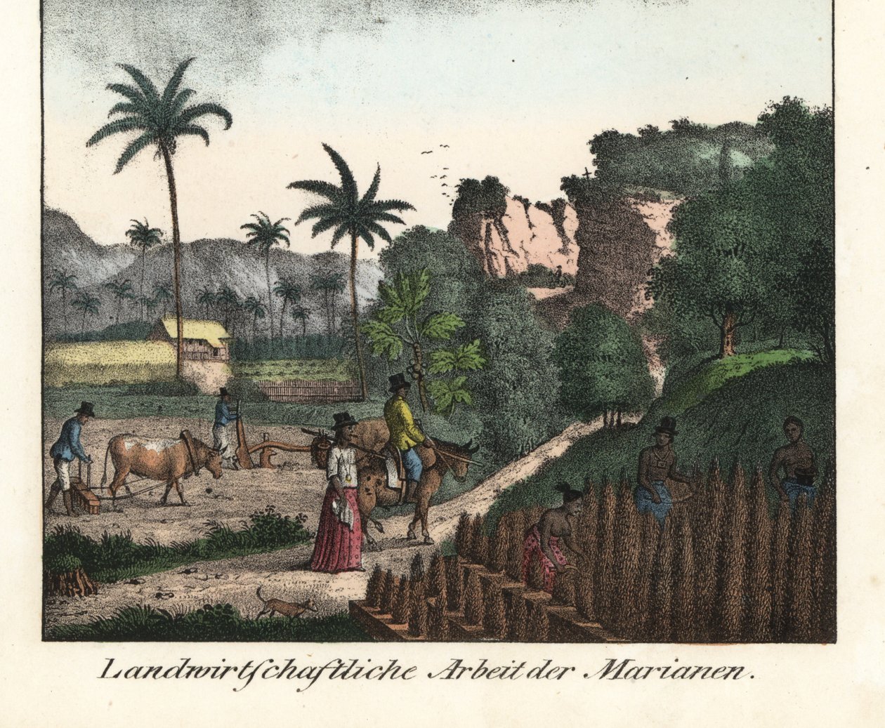 Farmáři z kmene Chamarro orají pole a vyřezávají řádky plantáží na Mariánském souostroví (USA). Ilustrace z knihy Cesta kolem světa (1824) od Louise de Freycineta (1779-1842). Litografie pro knihu: "Galerie complete en tableaux fideles des peu od Unbekannter Künstler