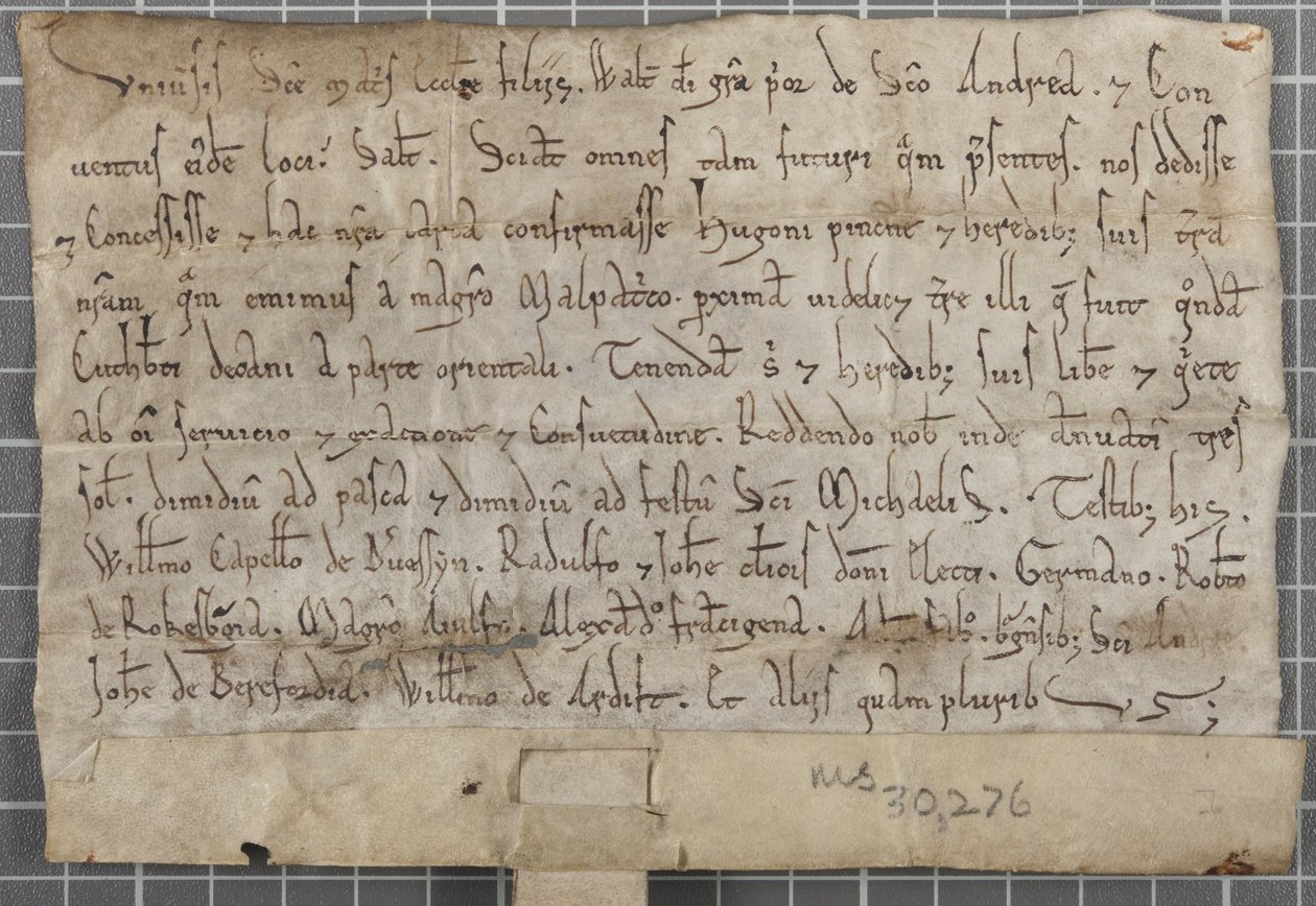 Listina Waltera, převora ze St Andrews od Unbekannt