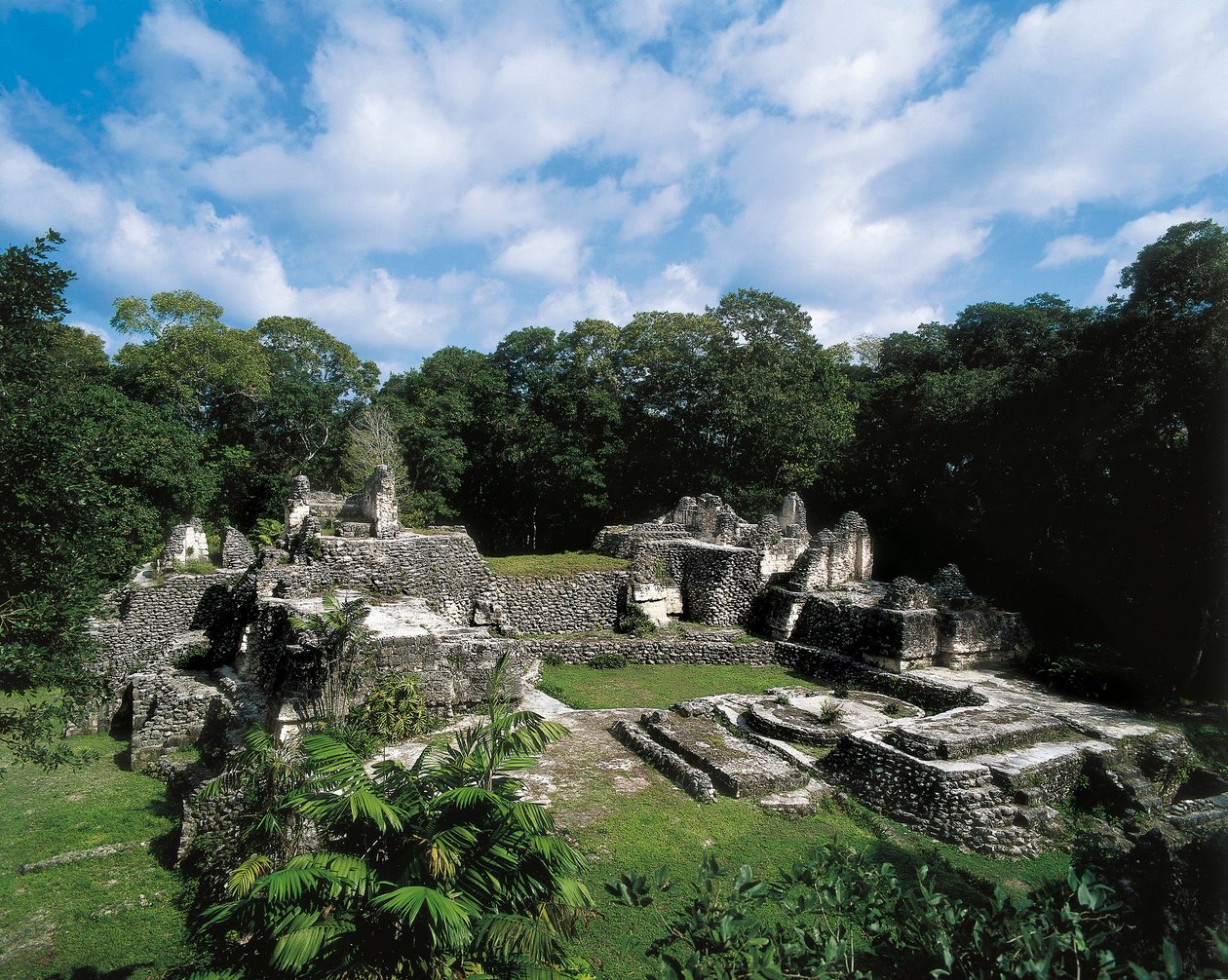 Předkolumbovská civilizace: pohled na mayské naleziště Uaxactun (skupina A). Petén, Guatemala od Alec Hunter