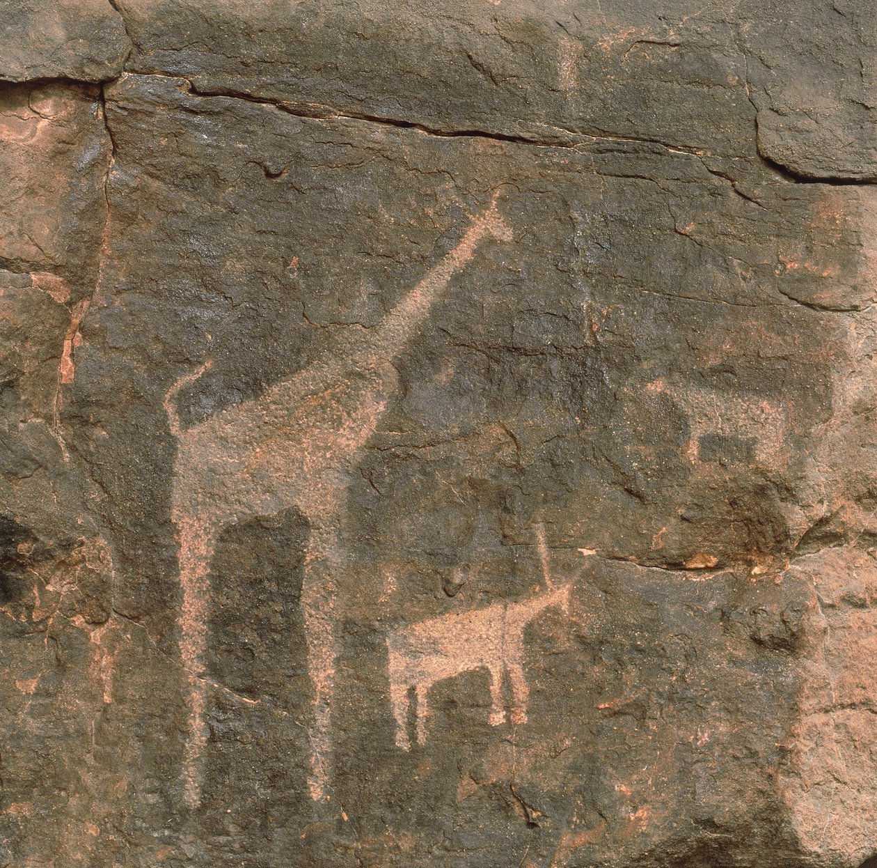 Detail prehistorických maleb, poušť Tenere, Niger od Benjamin Baud
