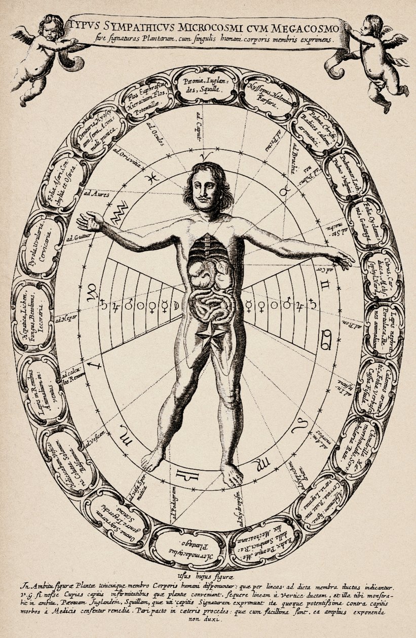 Korespondence mezi mikrokosmem a makrokosmem. Deska převzata z knihy "Mundus subterraneus" od Athanase Kirchera (1601-1680). od Unbekannter Künstler