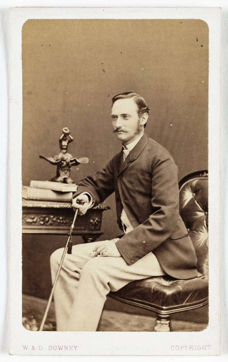 Korunní princ Dánska, c 1870 od Unbekannter Künstler