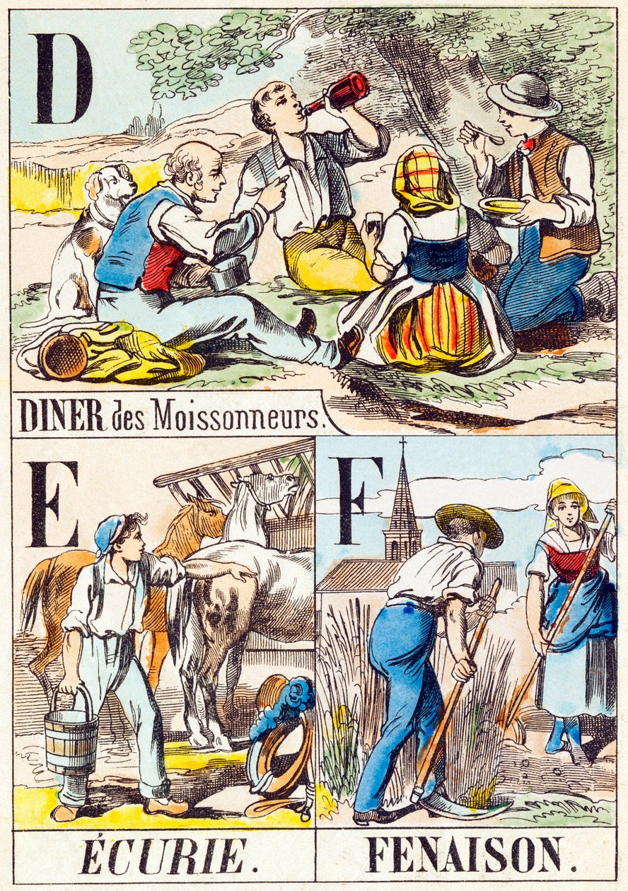 D E F: Diner des Moissonneurs, Ecurie, Fenaison - "Abeceda farmy" konec 19. století (rytina) od Unbekannt