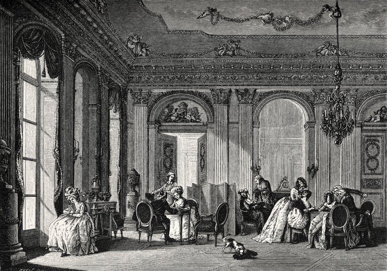 Každodenní život ve francouzské historii od Leopold Blonder
